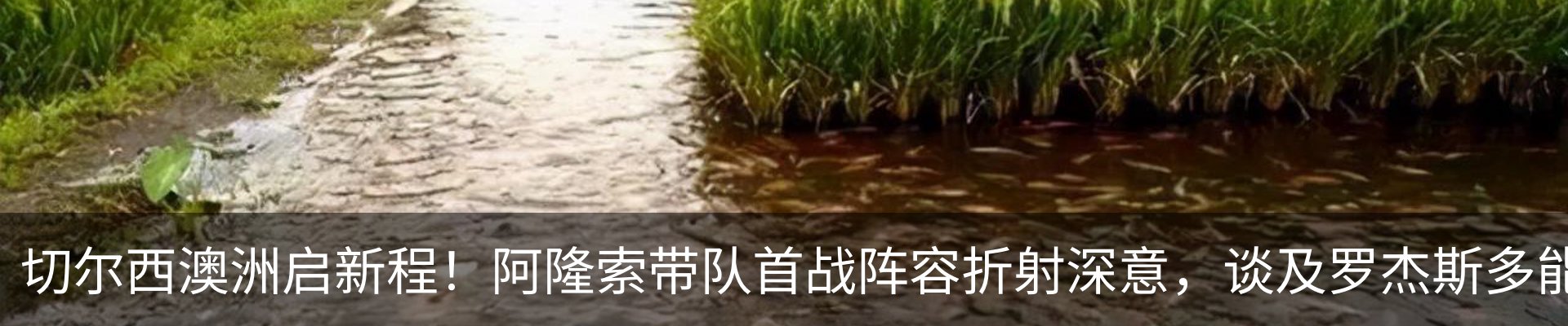 新闻中心